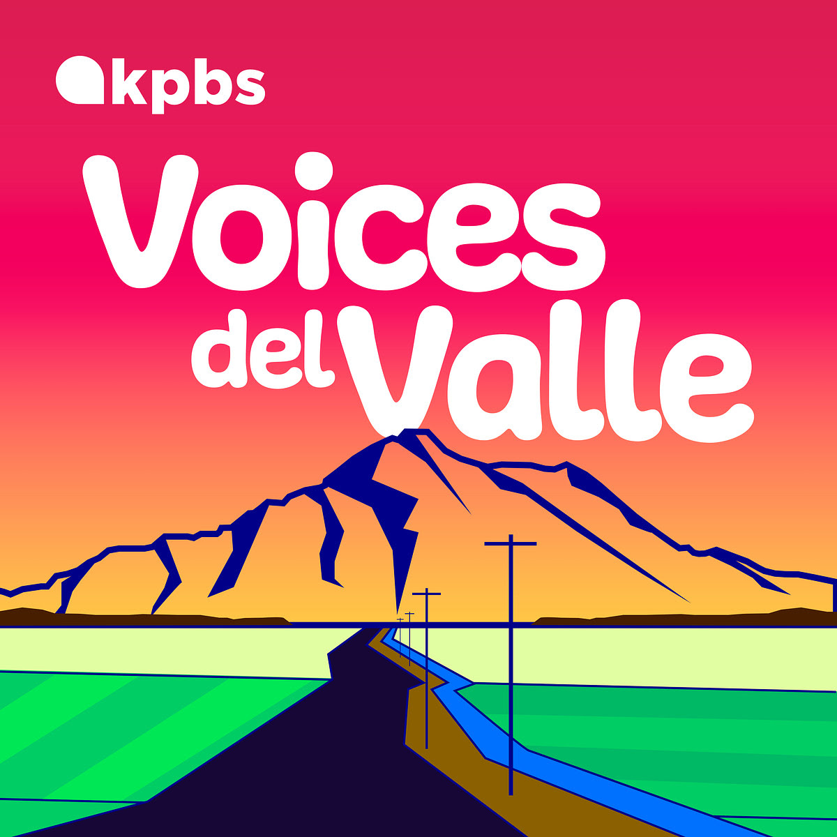 Introducing Voices del Valle!
