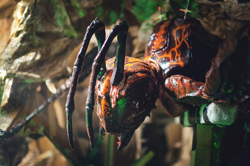 Get 'Stung' By Giant Wasp Movie